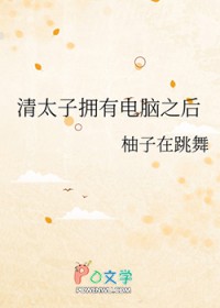 清太子拥有电脑之后